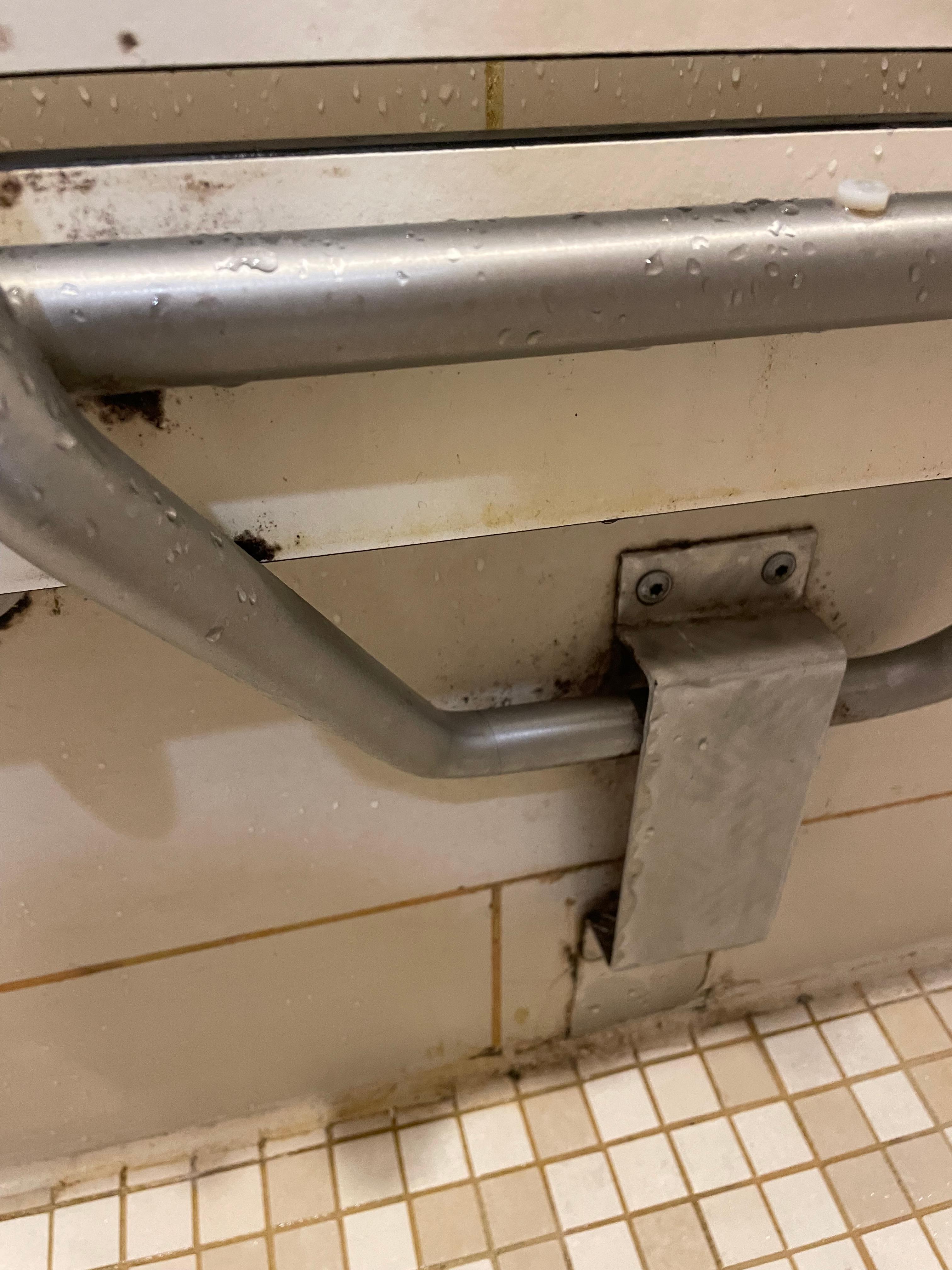 Mouldy/stained shower seat