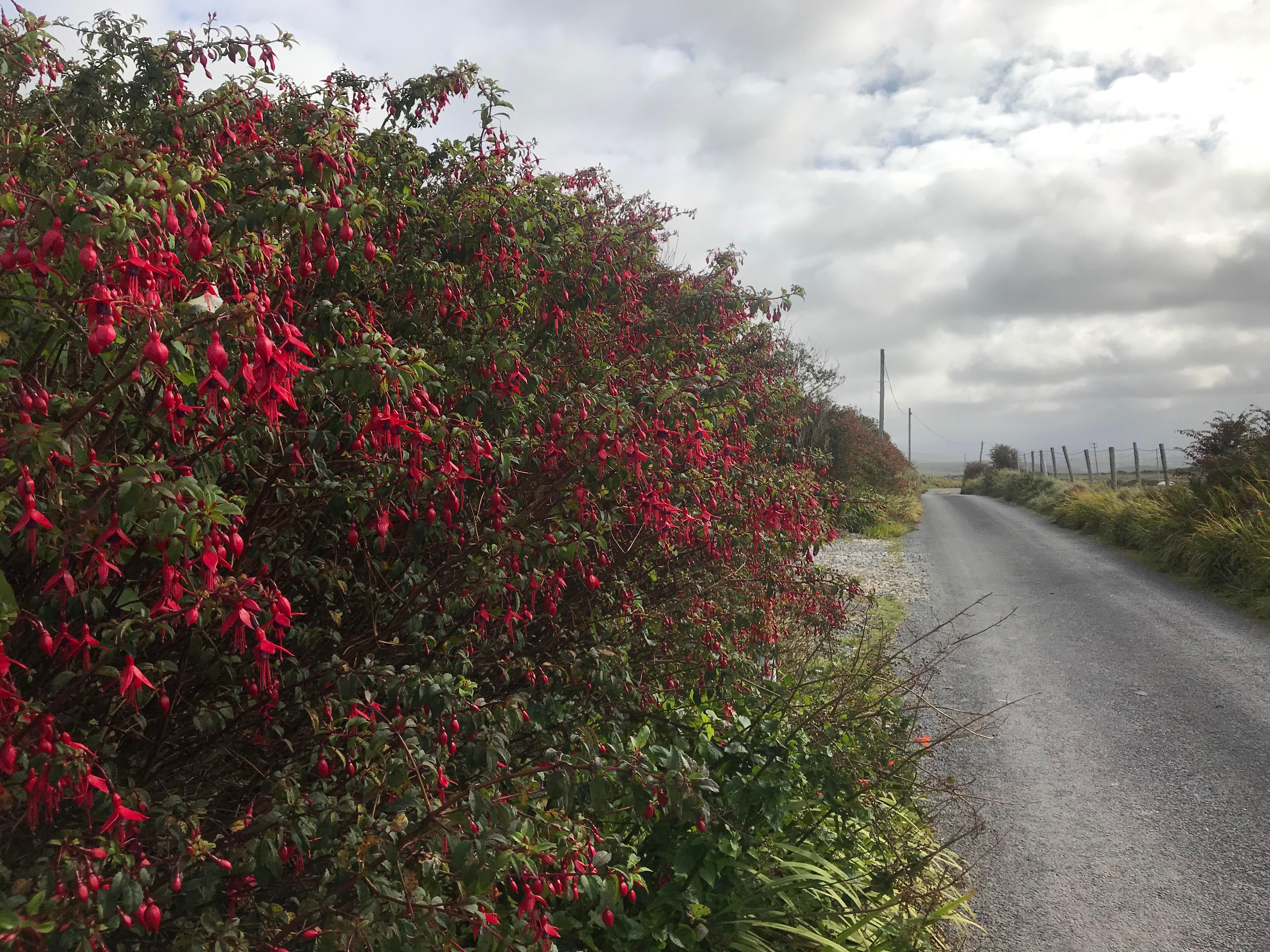 Looking down the road. 