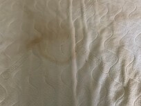 Brown stains on mattress I wonder what it would be?