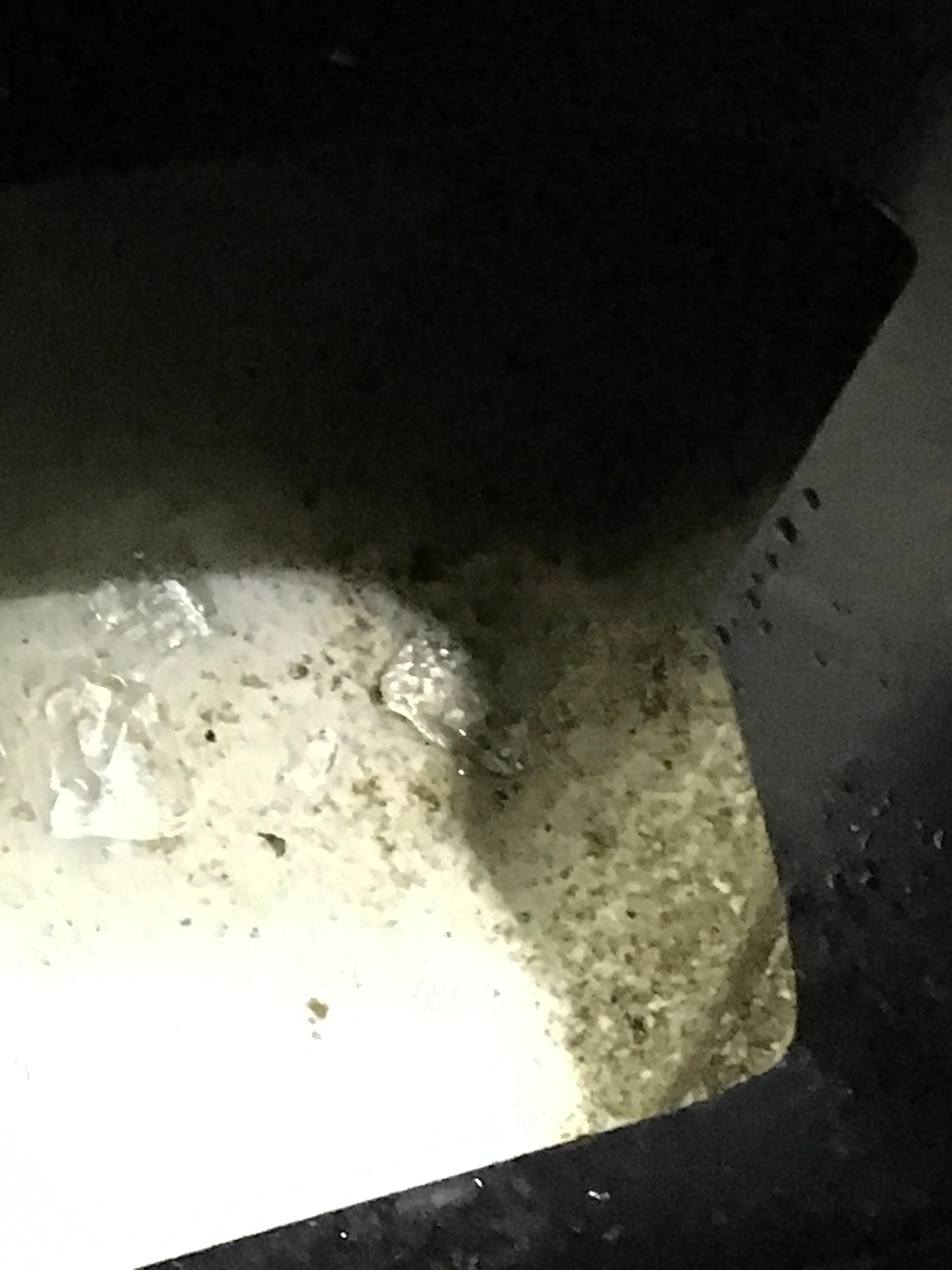 Mold on shower curtain 