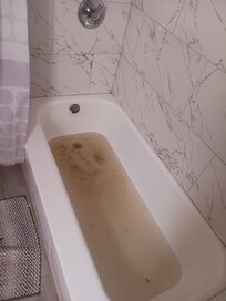 Feces & sewage water in tub all night