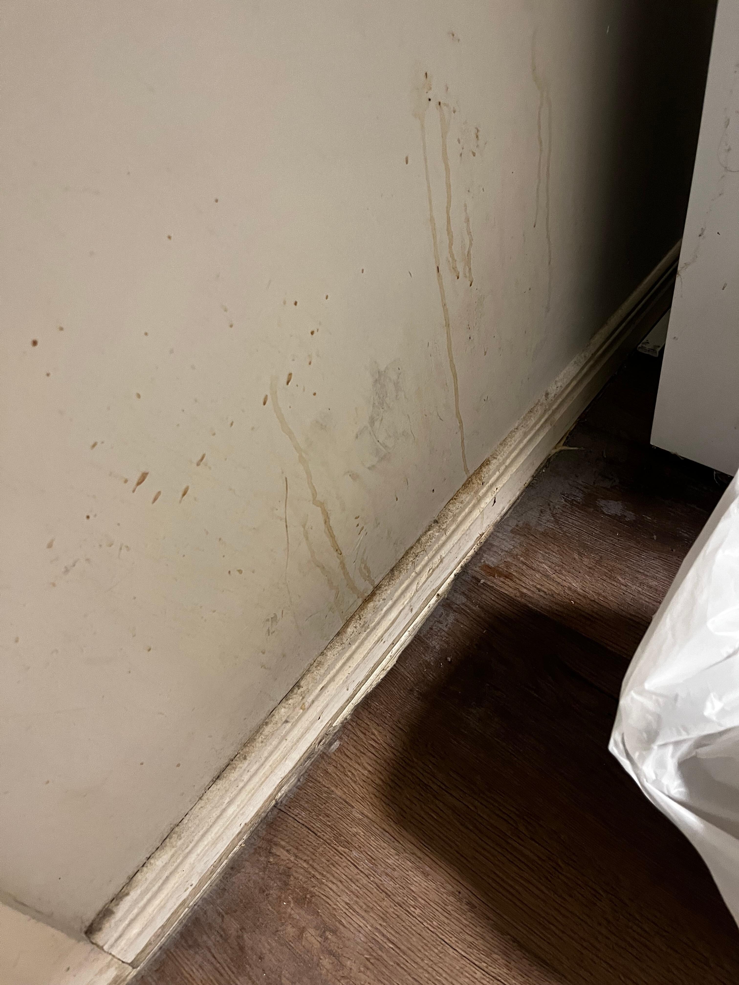 Greasy splattered grime behind bin 