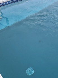 Pool full of sand everyday. Need to be cleaned daily by host if you are to use.