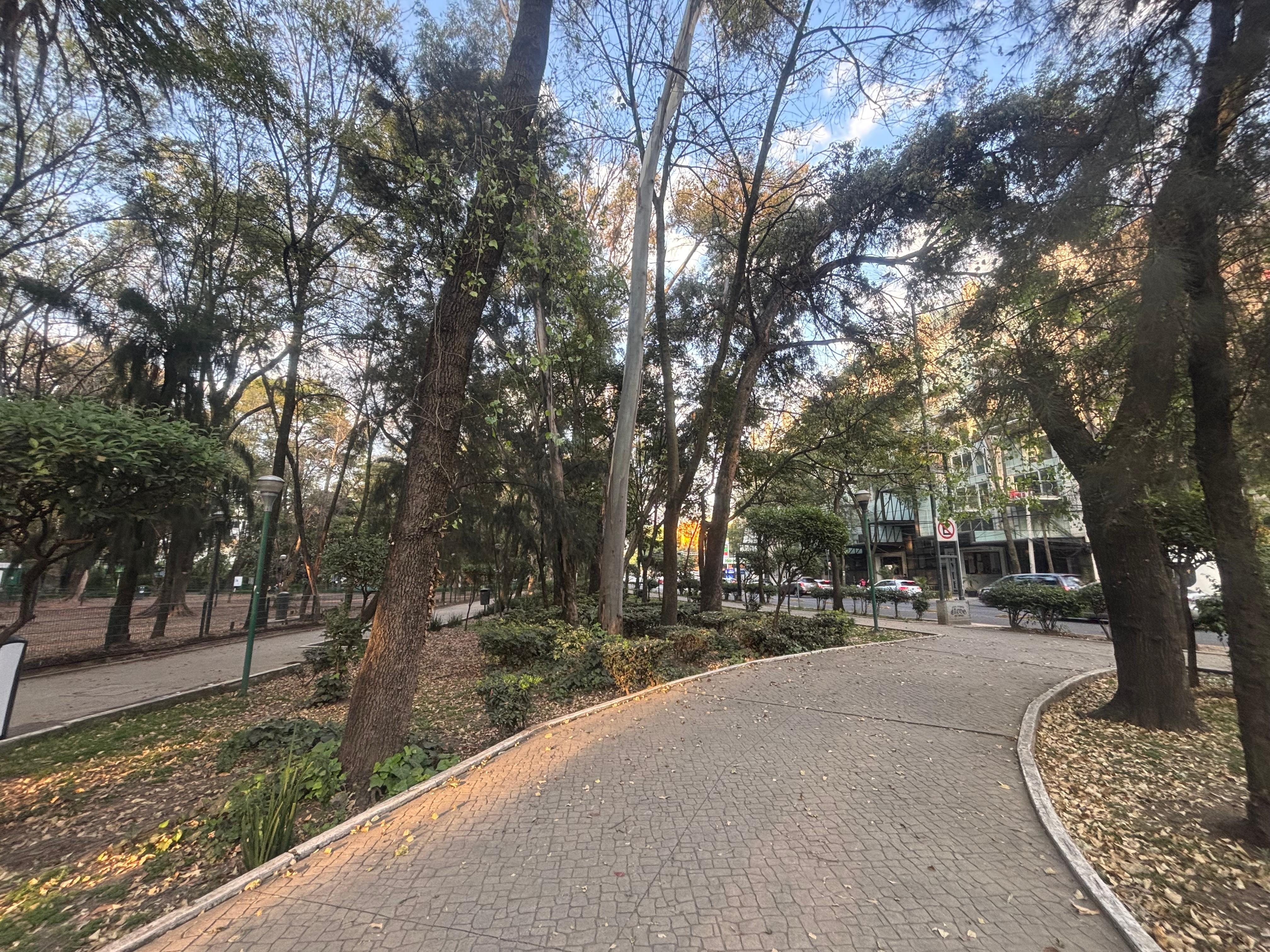 The view of the building from the park across the street. 
