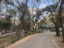 The view of the building from the park across the street.