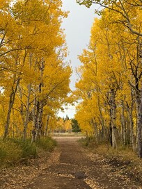 Across road from Lily lake on Hwy 7