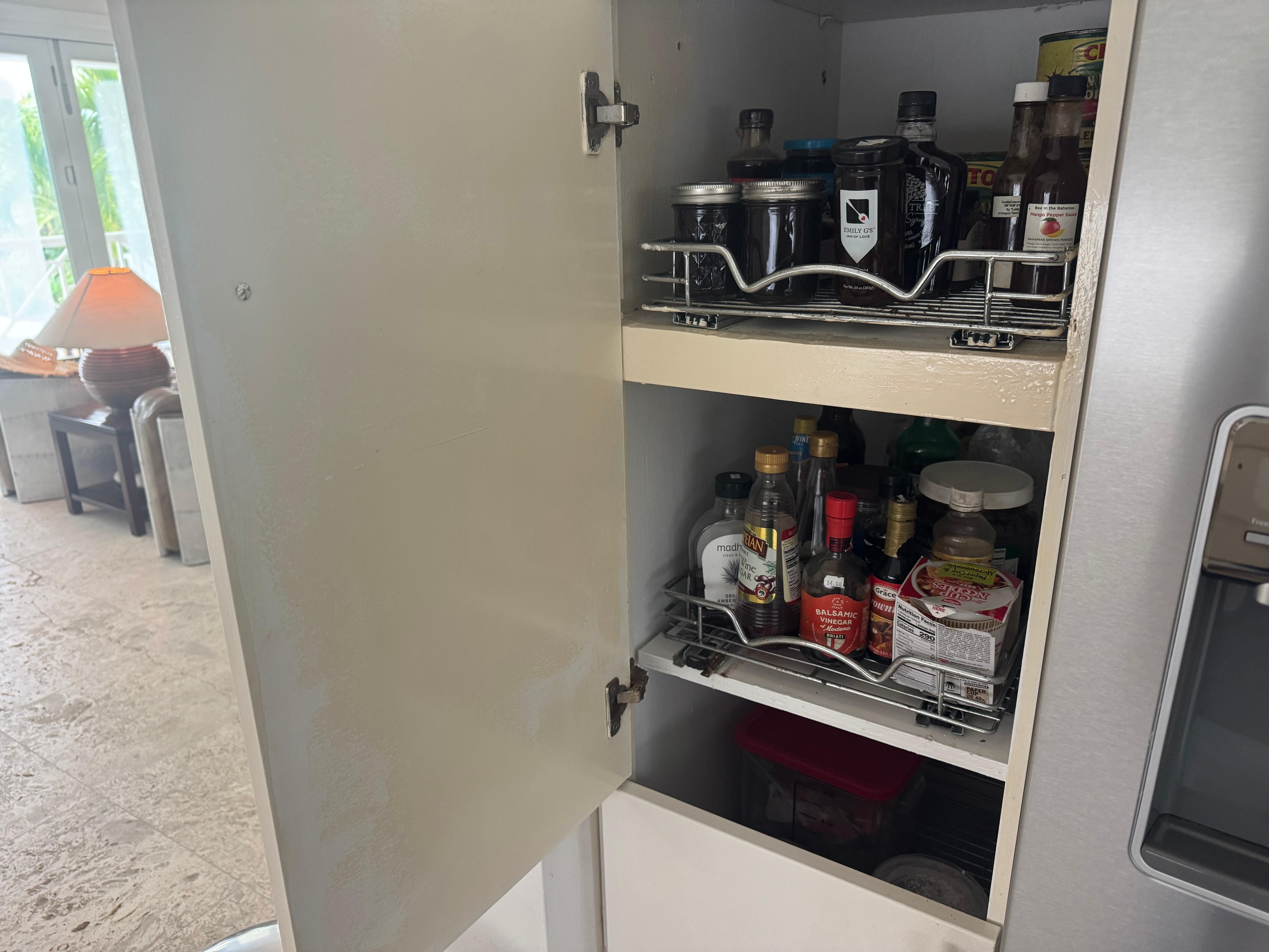 Cabinets with ants, old and rancid food.