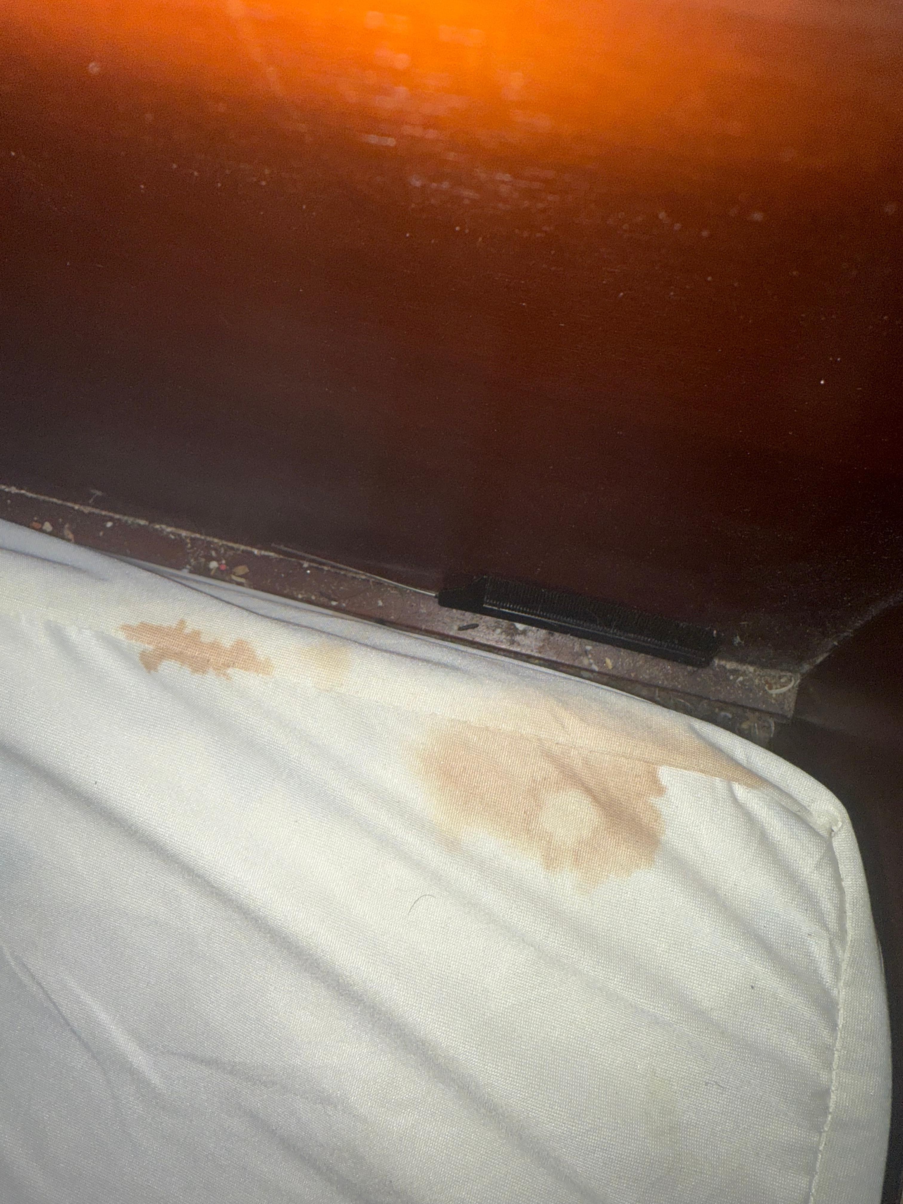 Corners of the bed… so gross