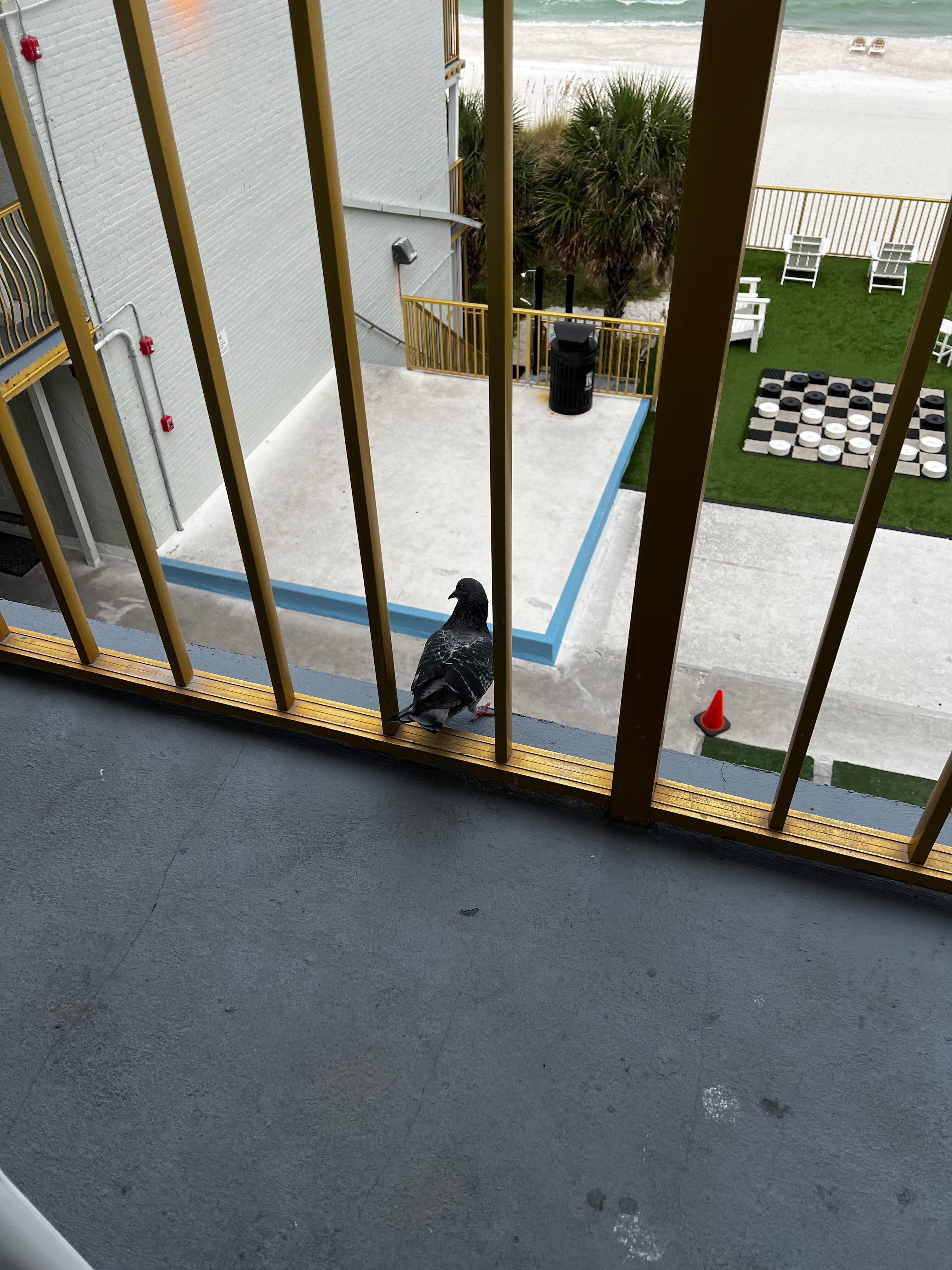 Visiting with friends on Room 432 balcony 