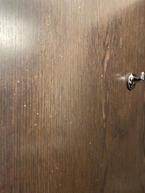 Speckled dirt on back of bathroom door