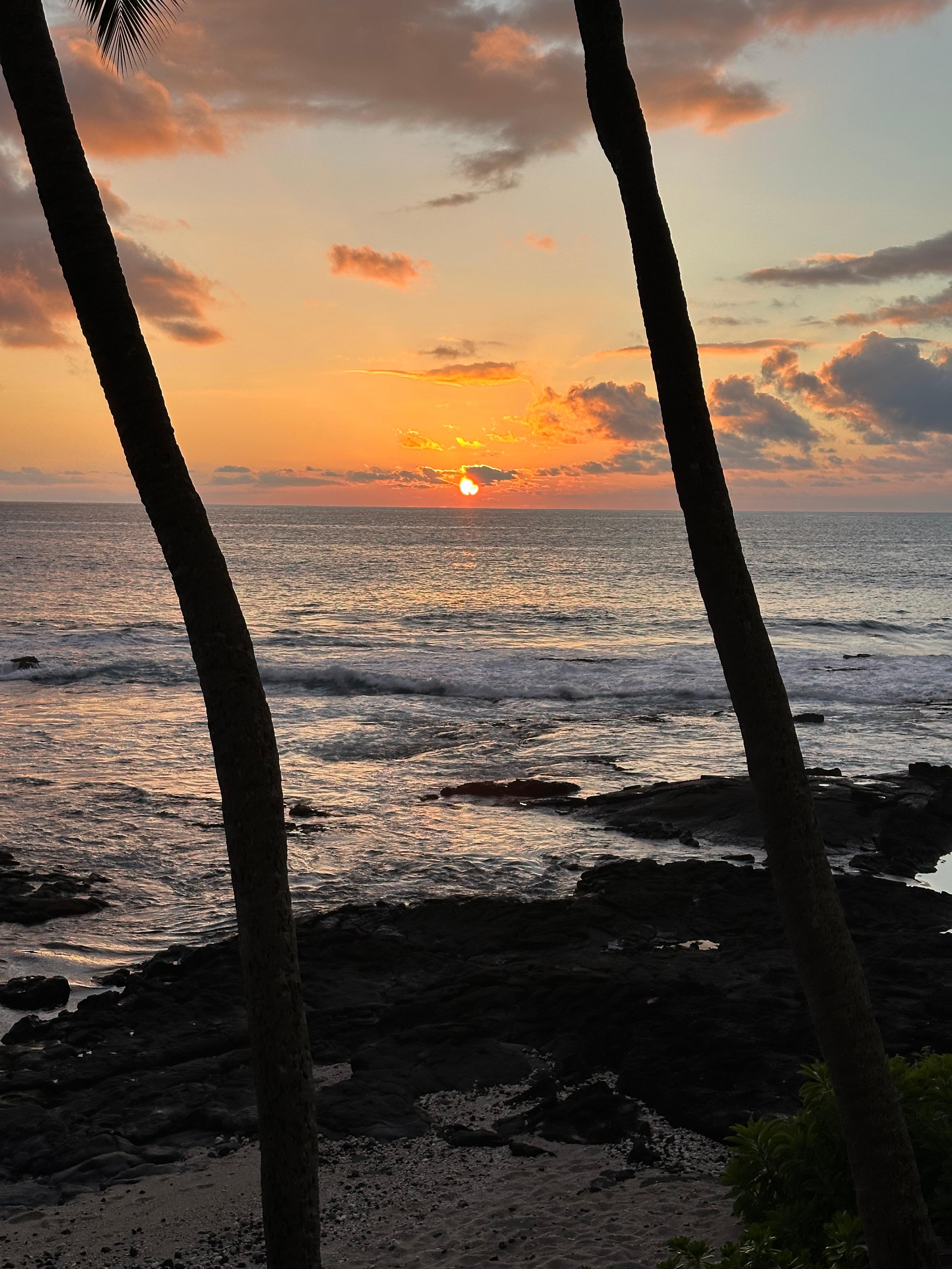 All my pics are taken from unit 213’s balcony. 