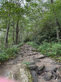 Trail for Whiteside Mountain