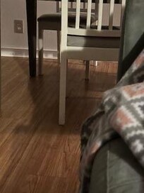 Picture of mouse under a chair.