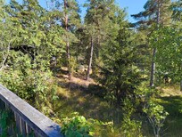 Blick in den Vorgarten von der Terrasse