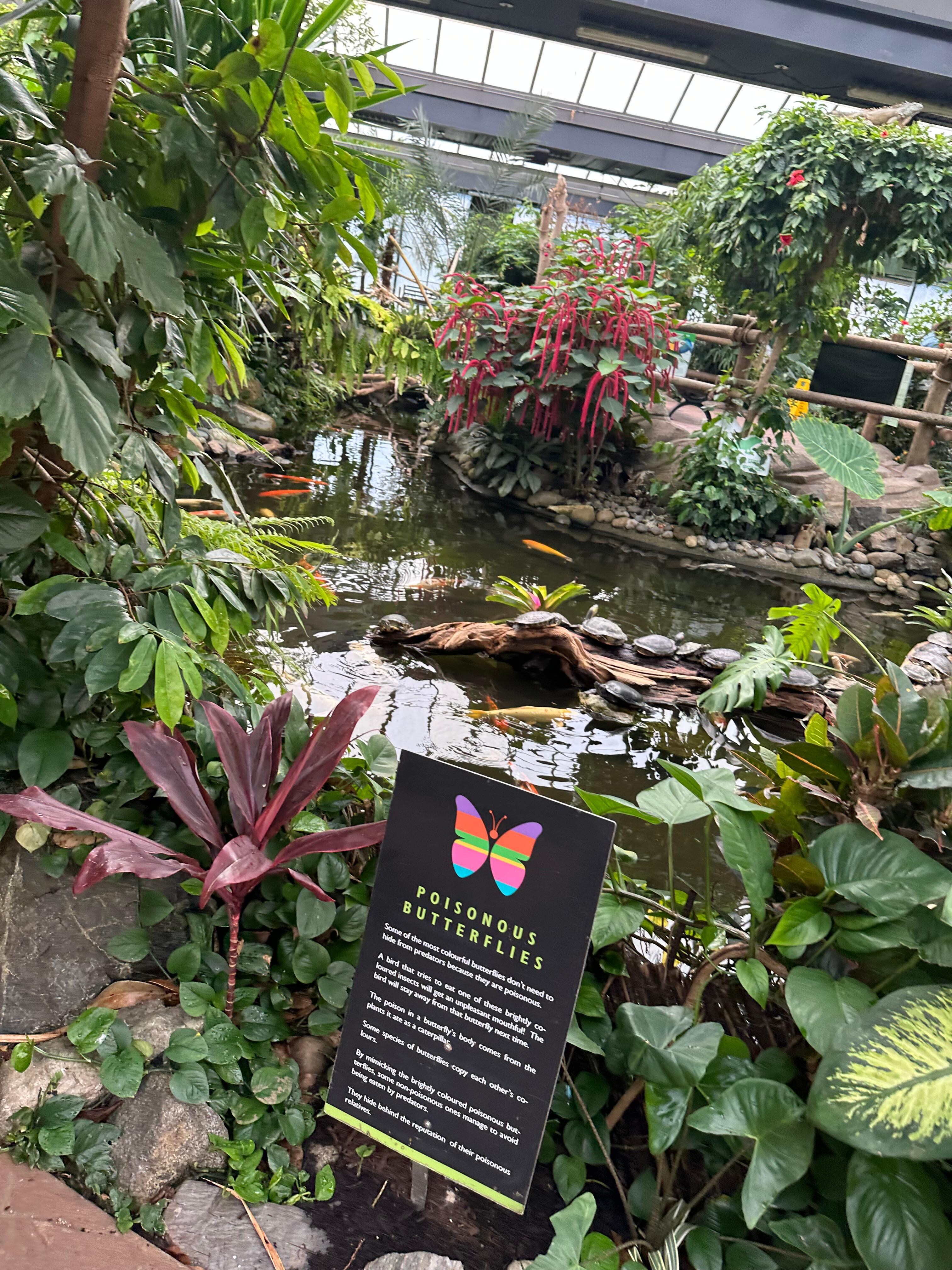 Butterfly gardens. 
A lush tropical oasis on Victoria Island. 