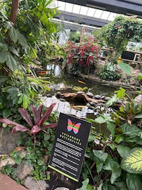 Butterfly gardens.
A lush tropical oasis on Victoria Island.
