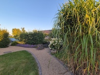 Der Garten.