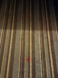 Stains and burn marks on the rug