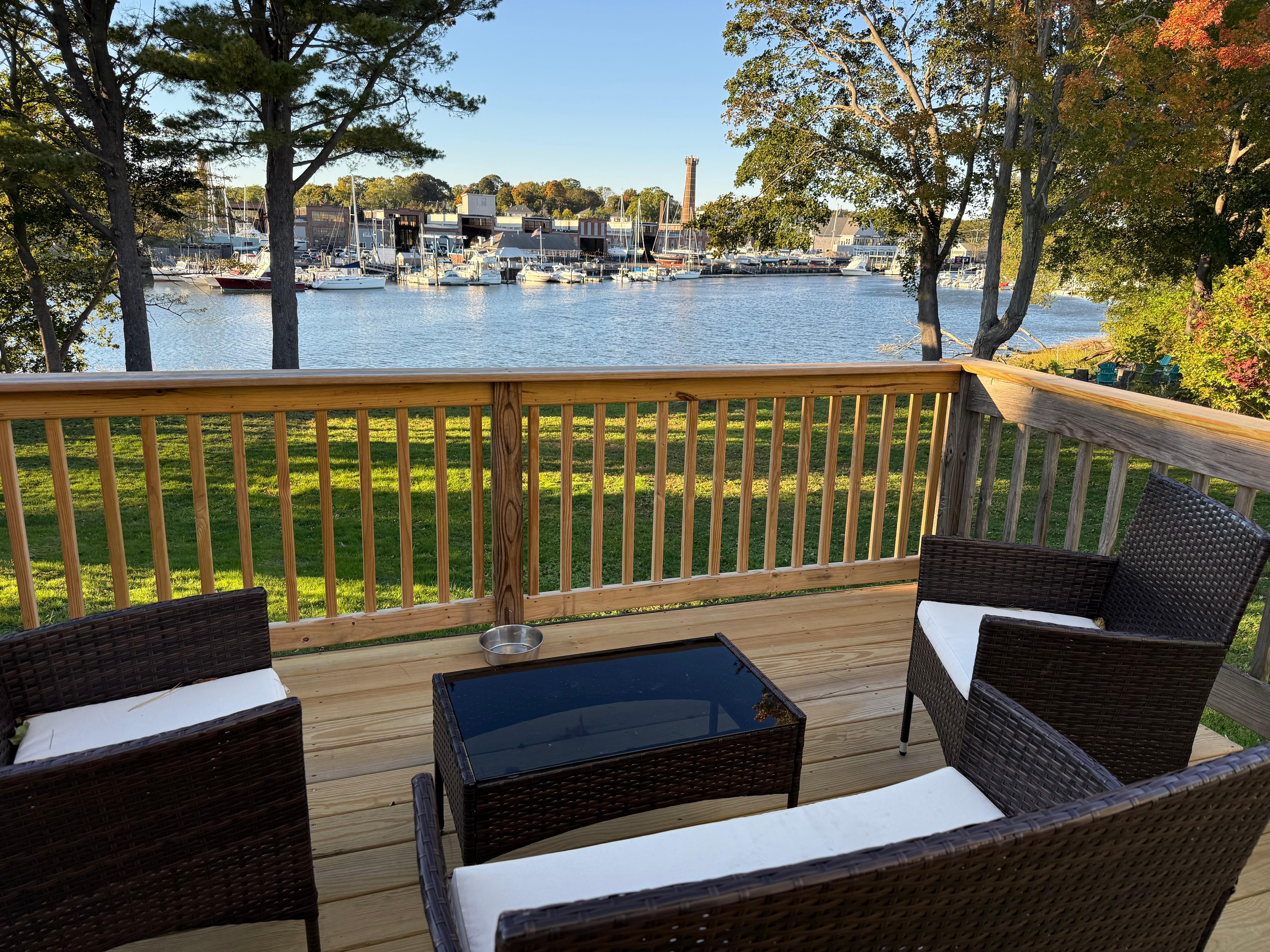 View from back porch