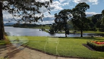 View from dinning room.