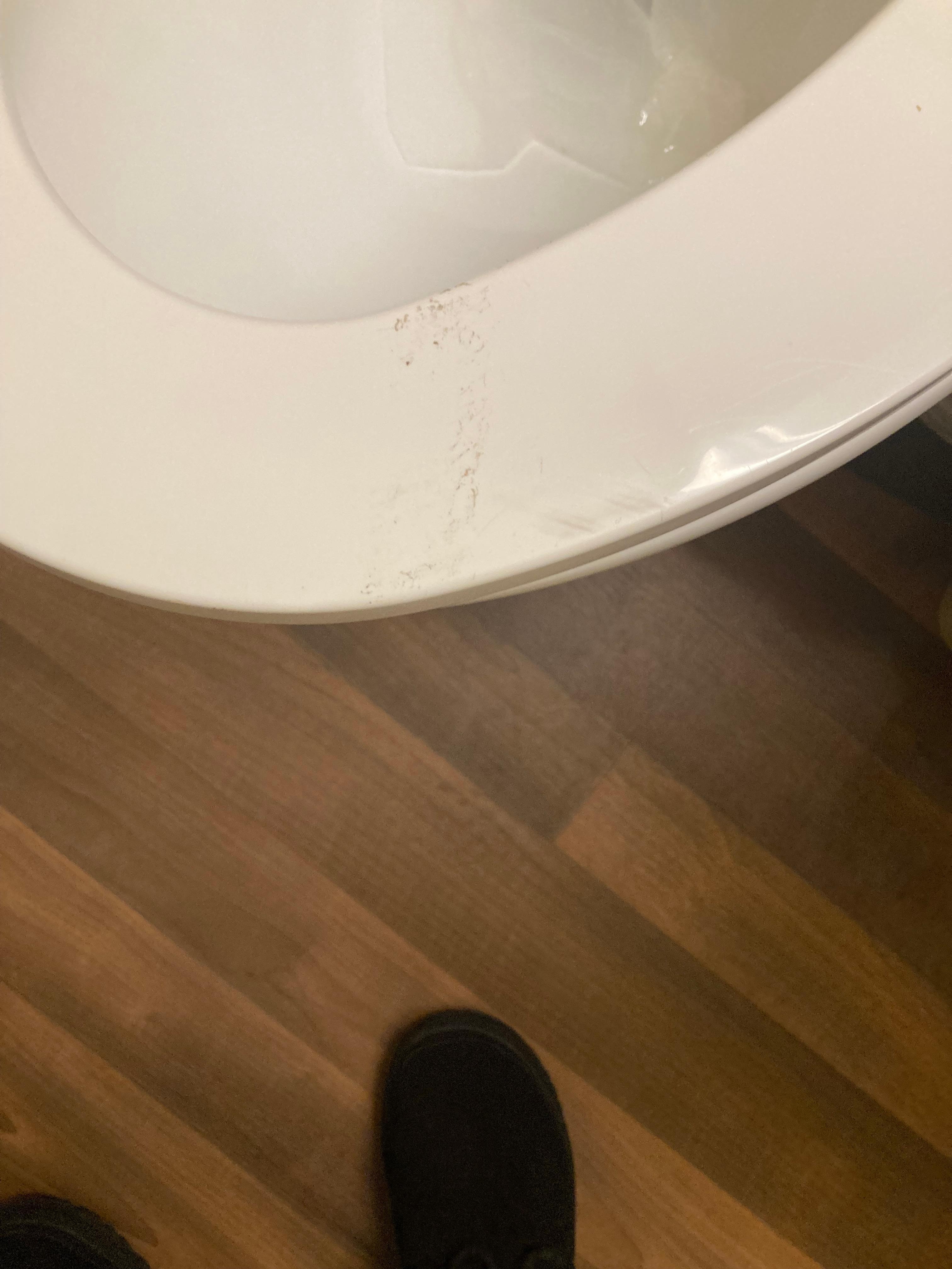 The toilet seat had feces on the toilet seat