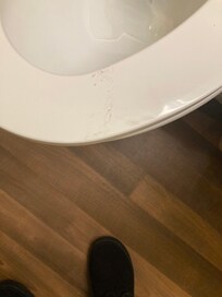 The toilet seat had feces on the toilet seat