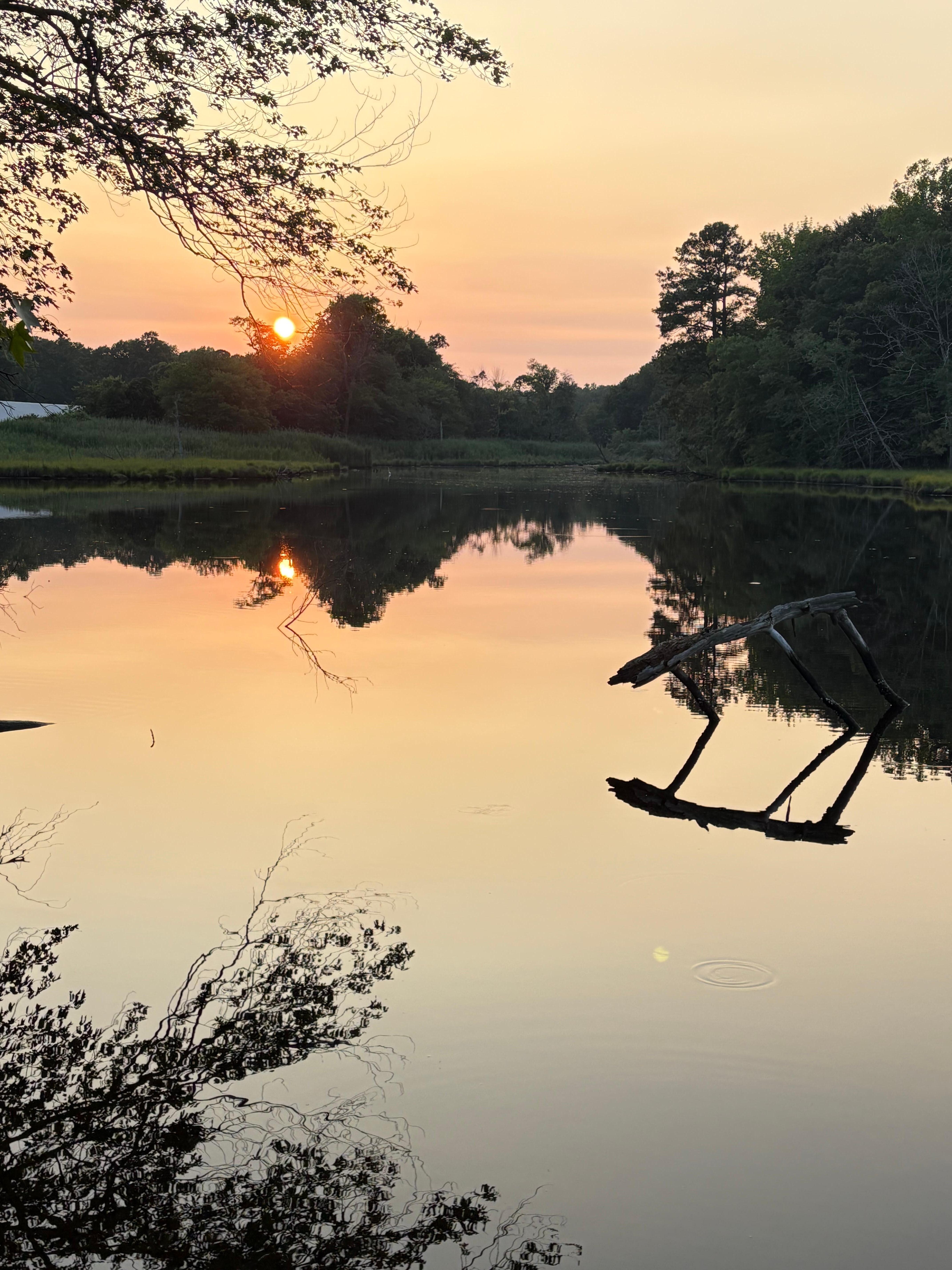 Sunset view off the dock.