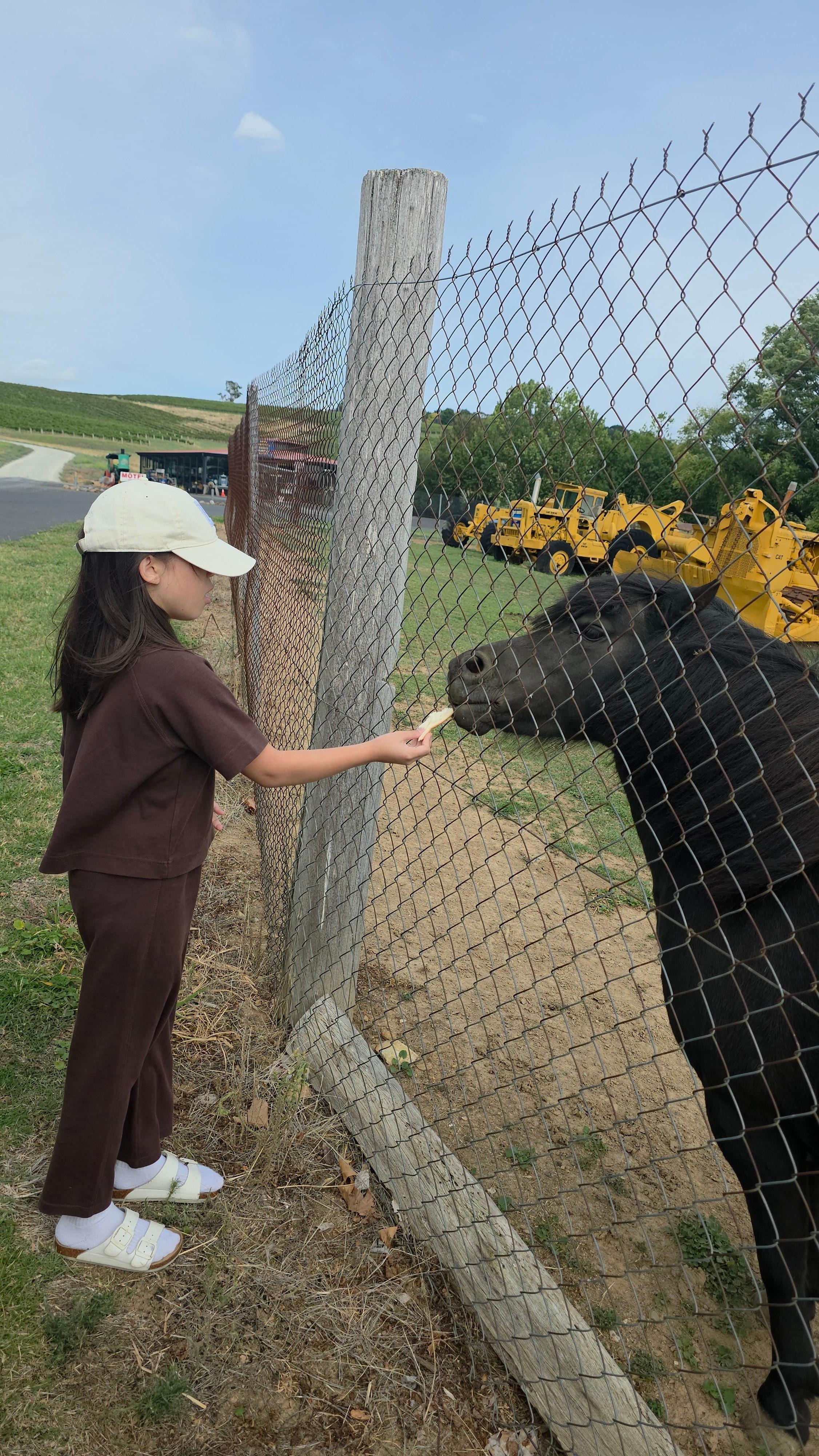 Don't know the pony's name. But my daughter named it sparkle.