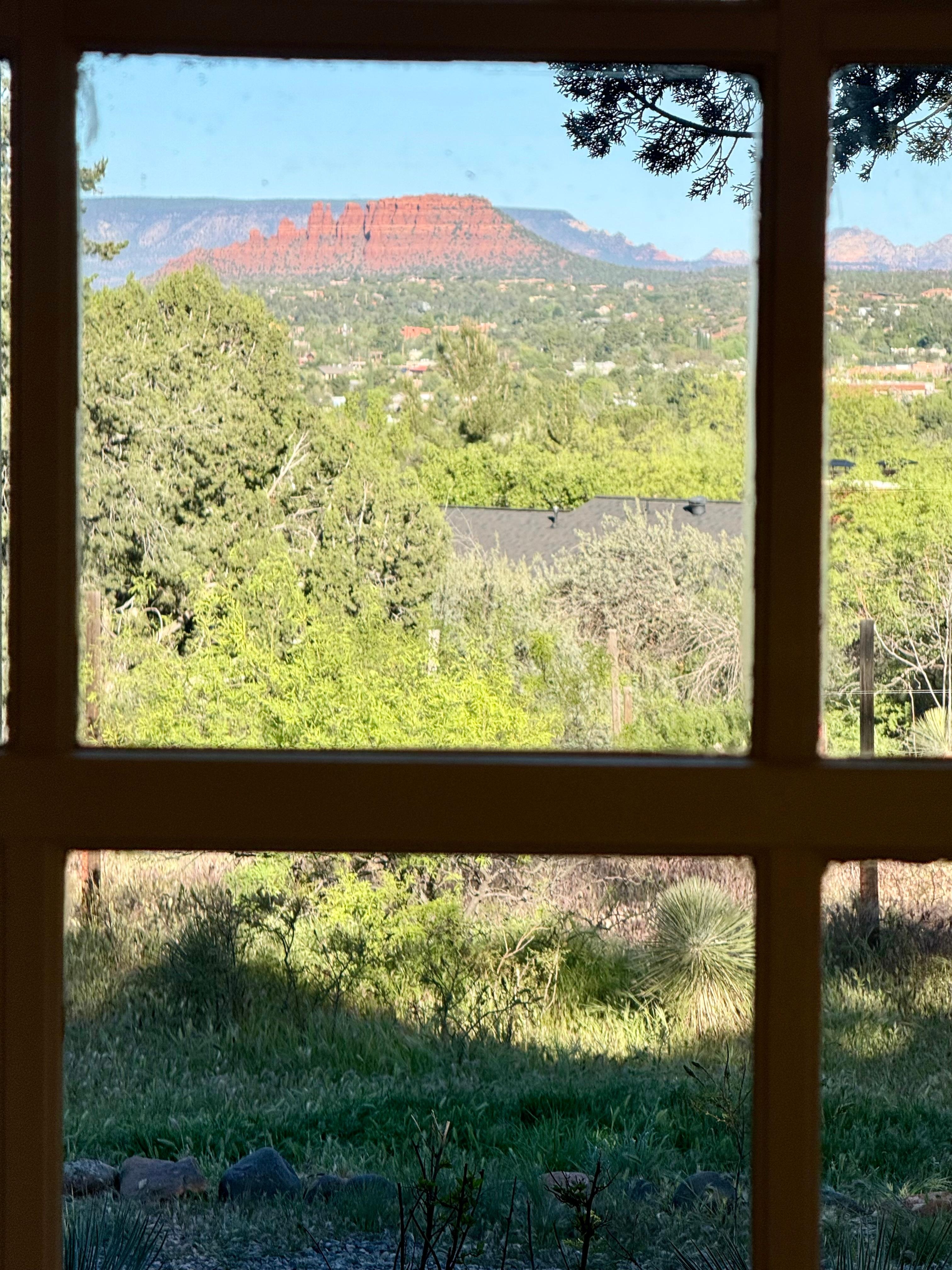 View from another sunroom / single bedroom 