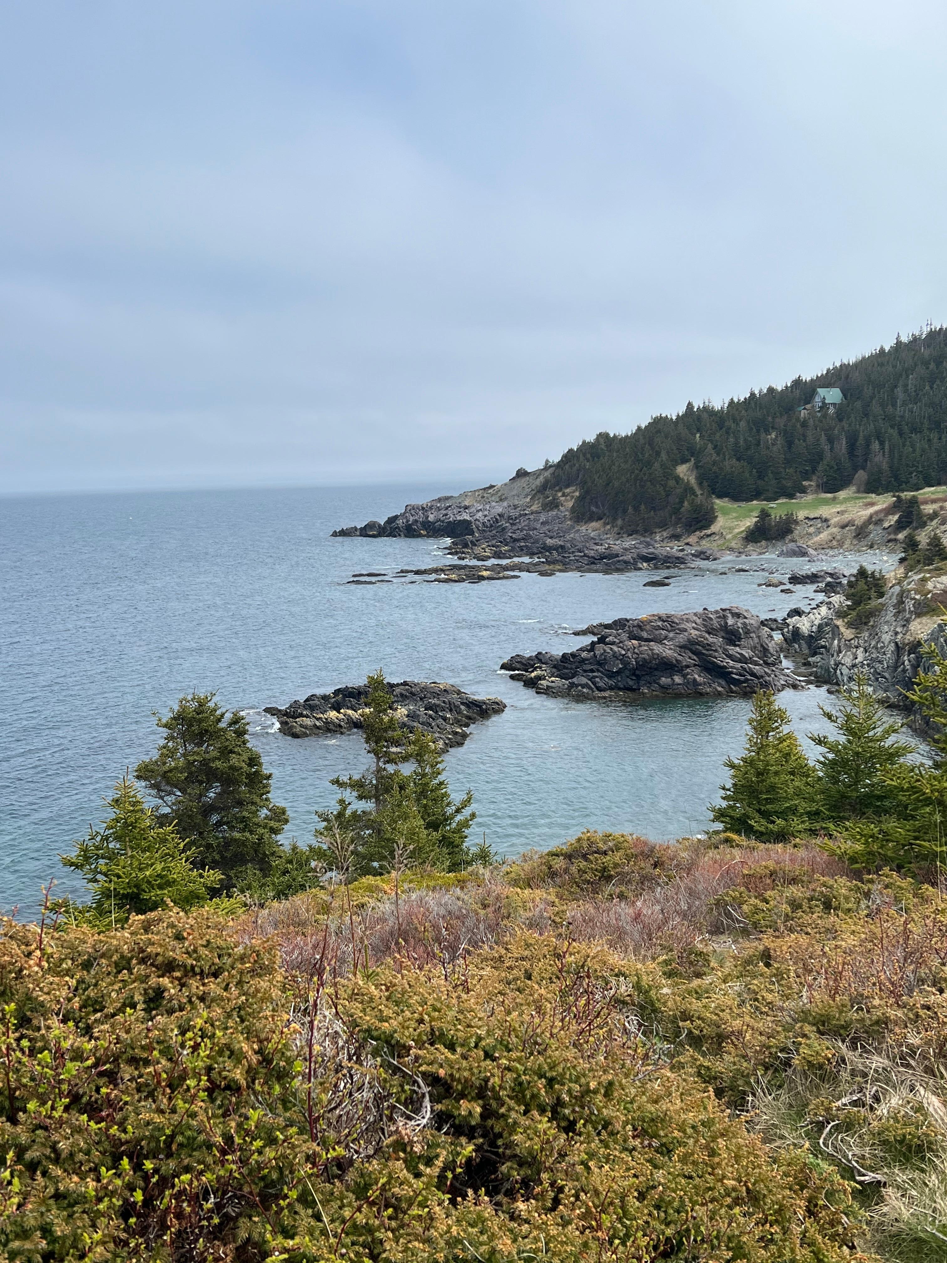View from on the hike. Saw a whale here as well.  
