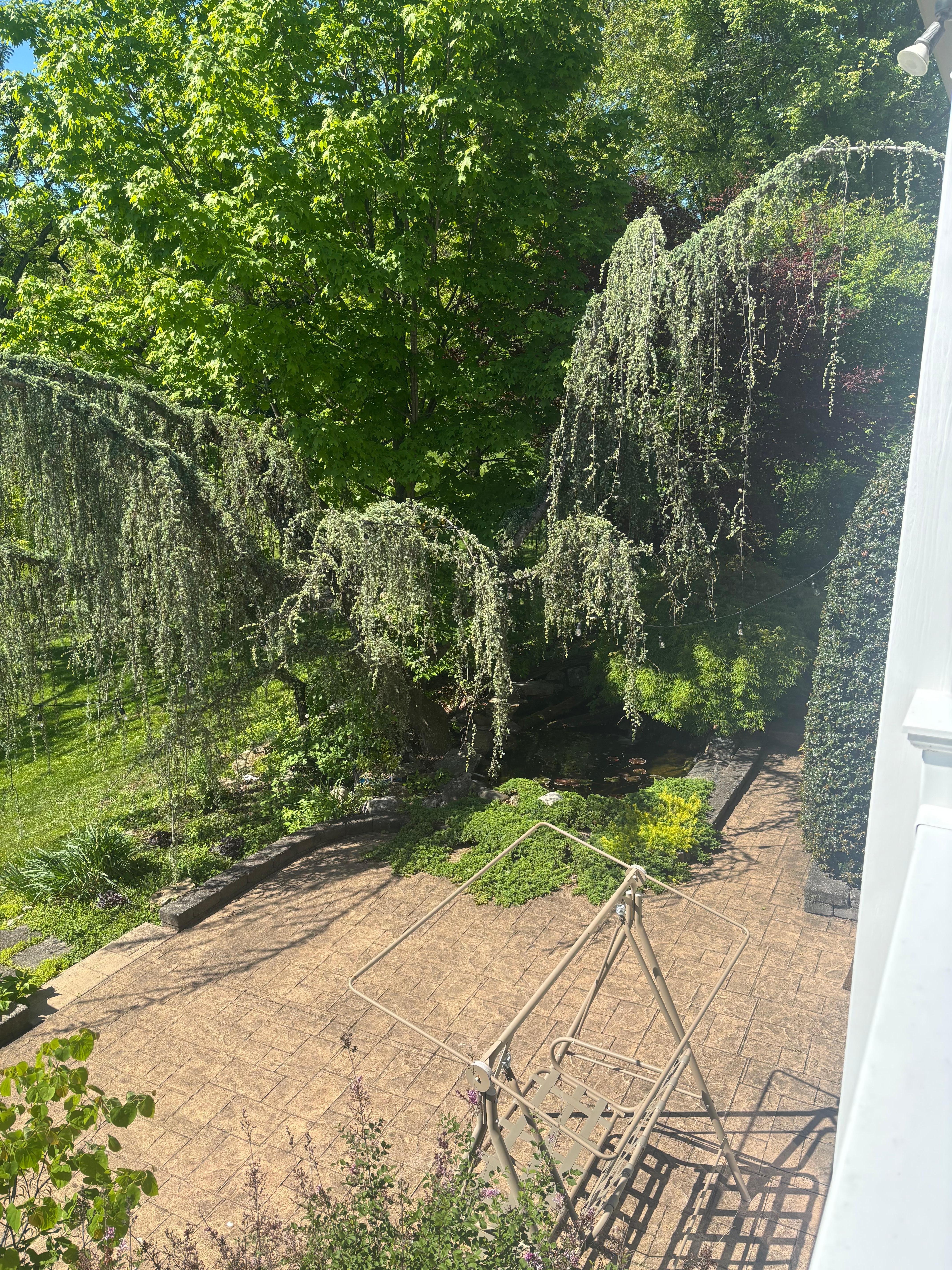 Loved the view from the dining room and such a cool pond!