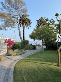 Grounds / Garden