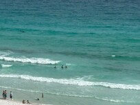 We pretty much had dolphin sitings daily