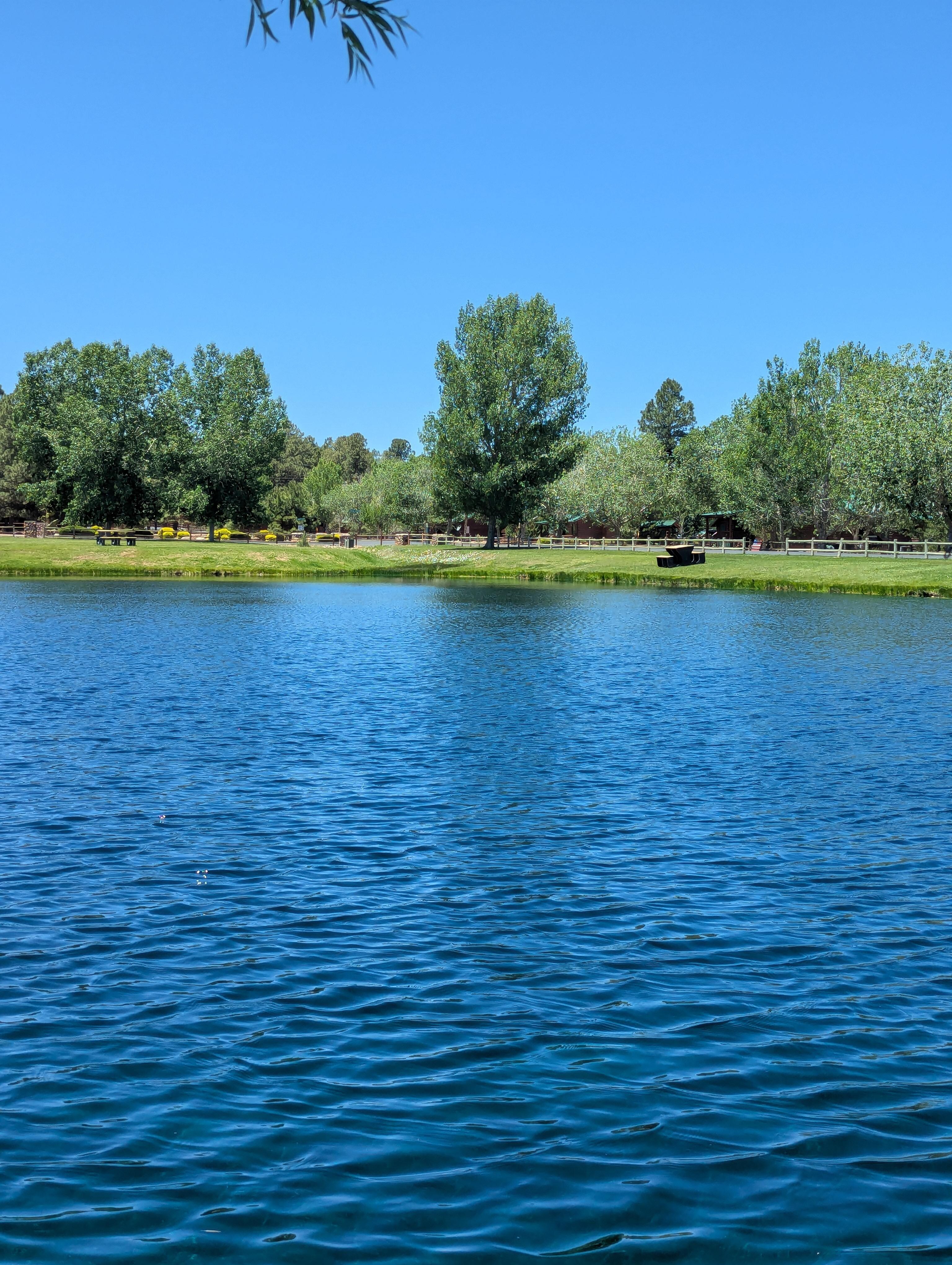 Fishing on Property 