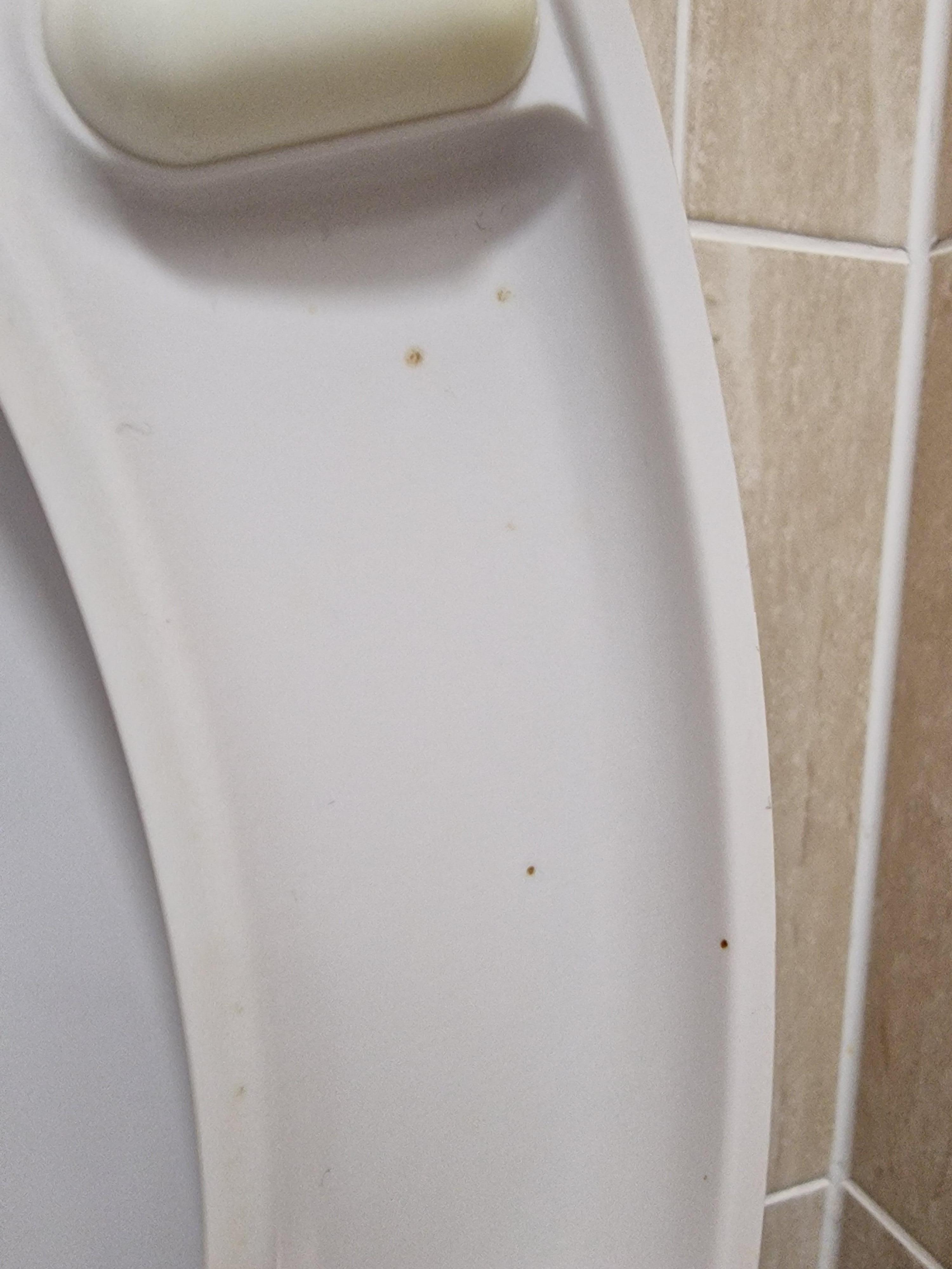 Poo on toilet seat