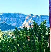 A hummingbird and the beautiful Mountain View’s as you sit in the front porch!