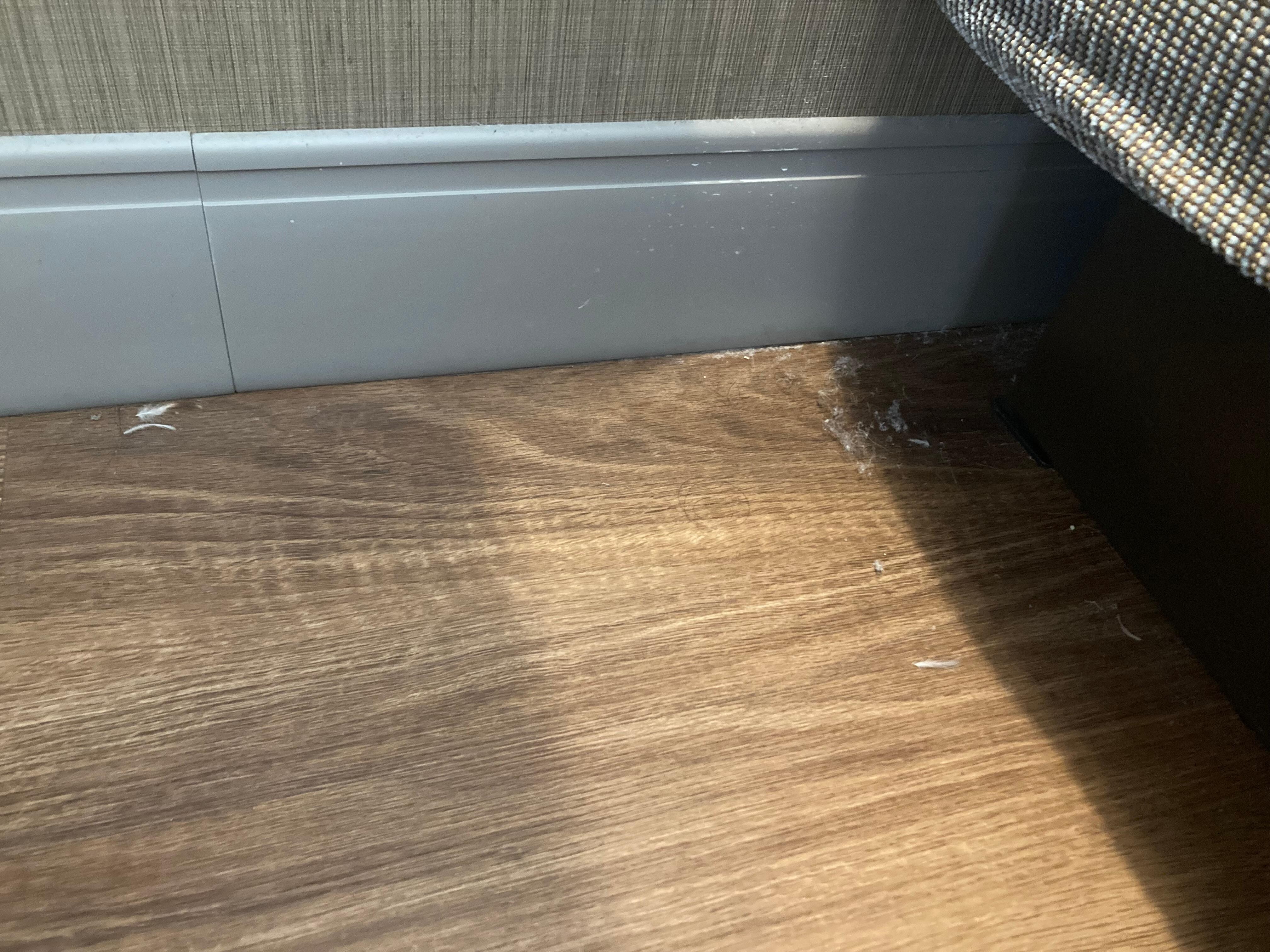 Floor 