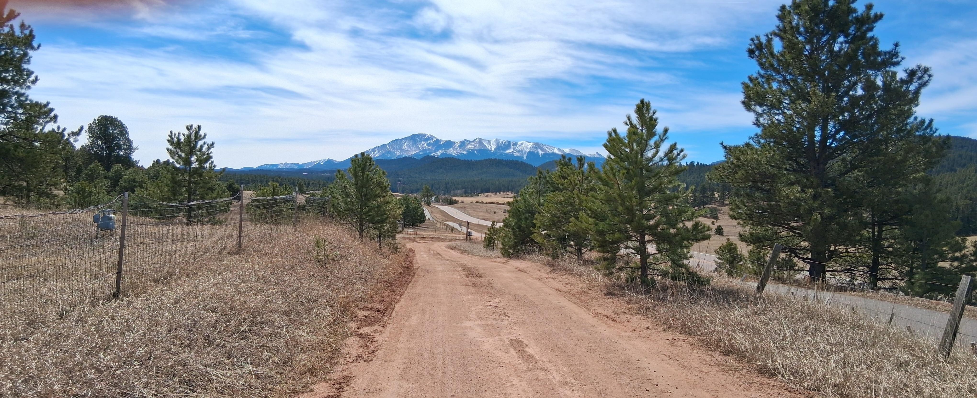 View from the driveway!