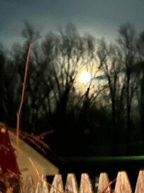 Moon at property overlooking large back yard