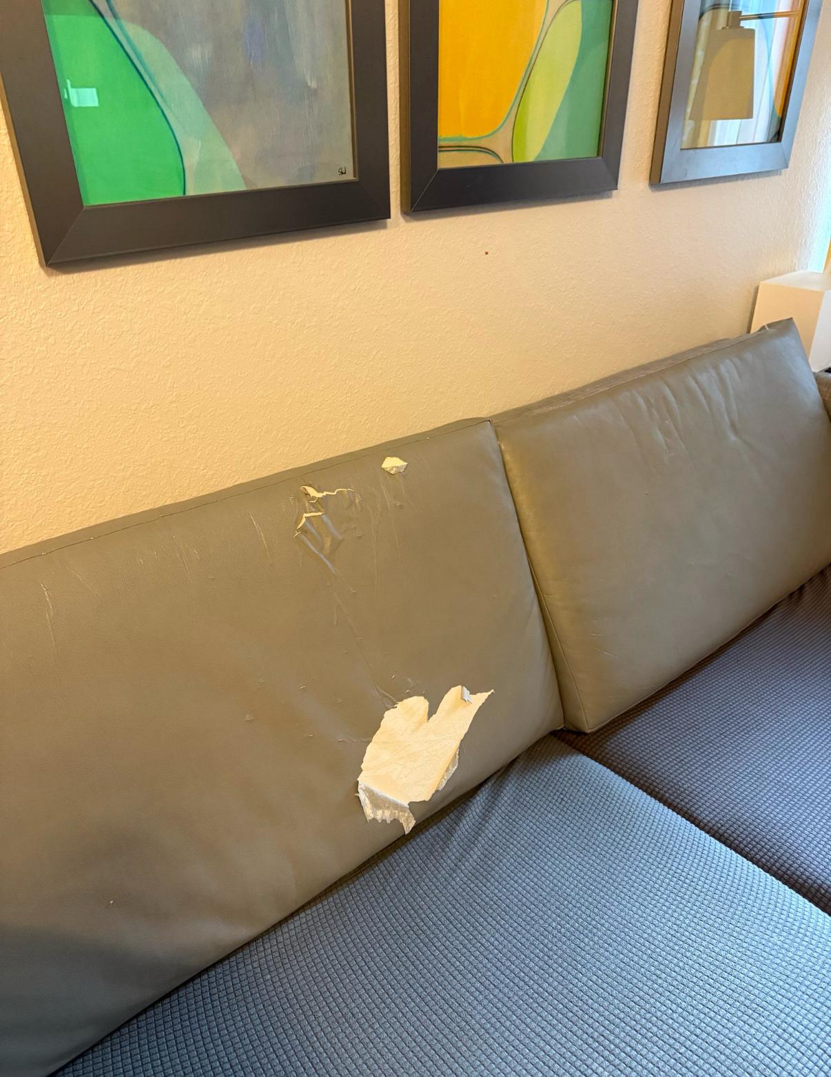 sofa damage