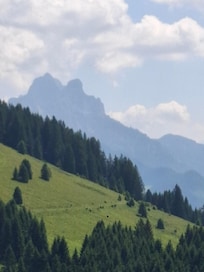 Zugspitzblick