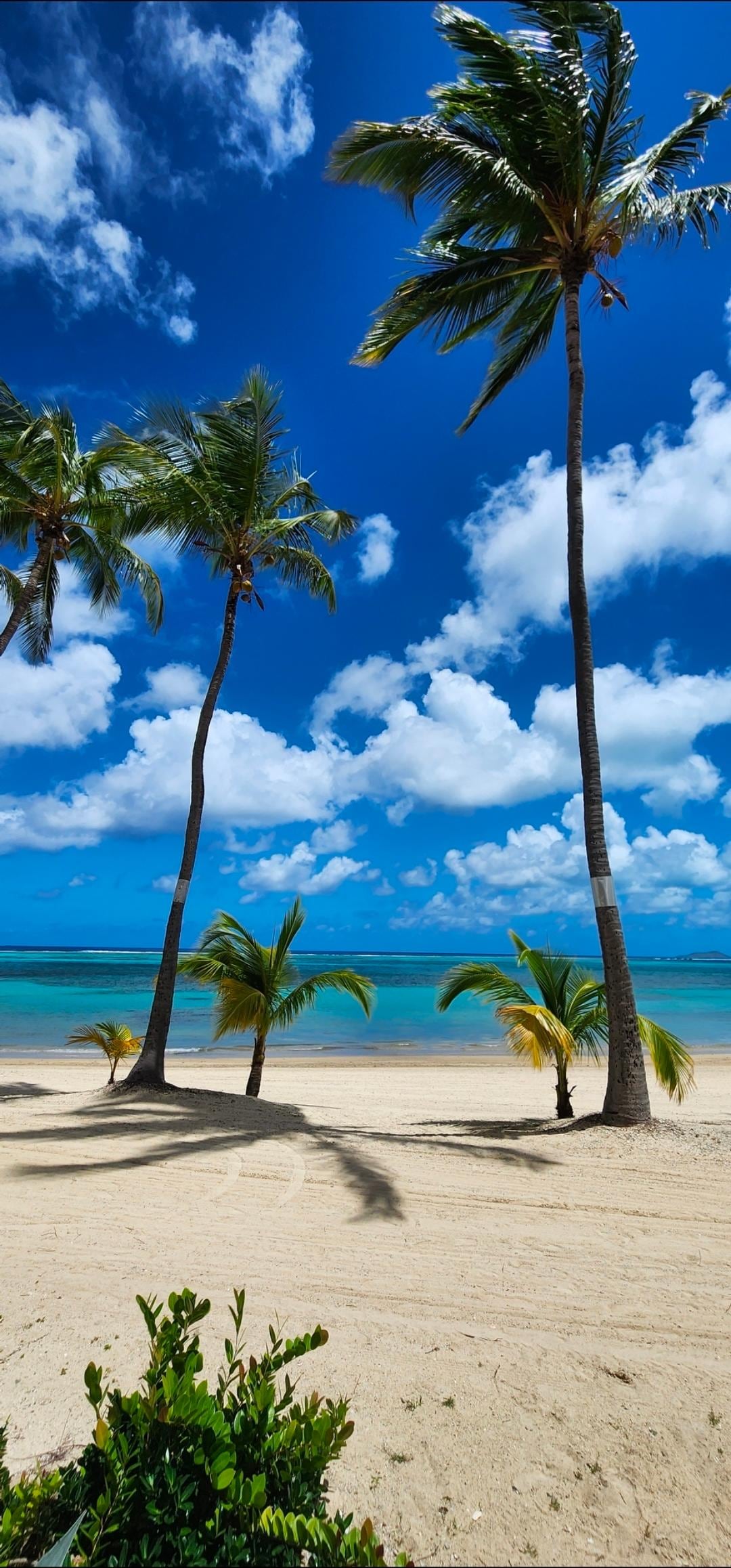 Picture taken from our back porch, ocean is right there! Great snorkeling!