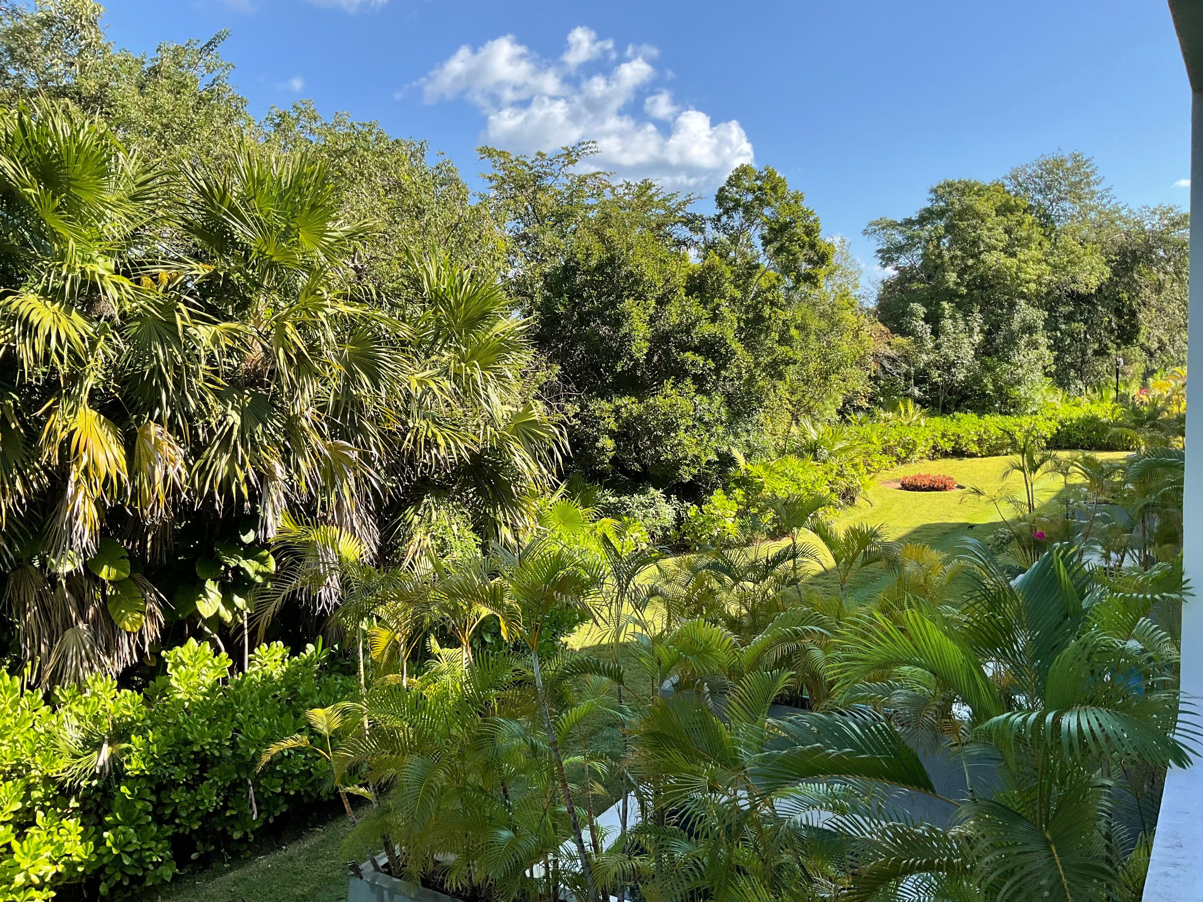 View from the balcony