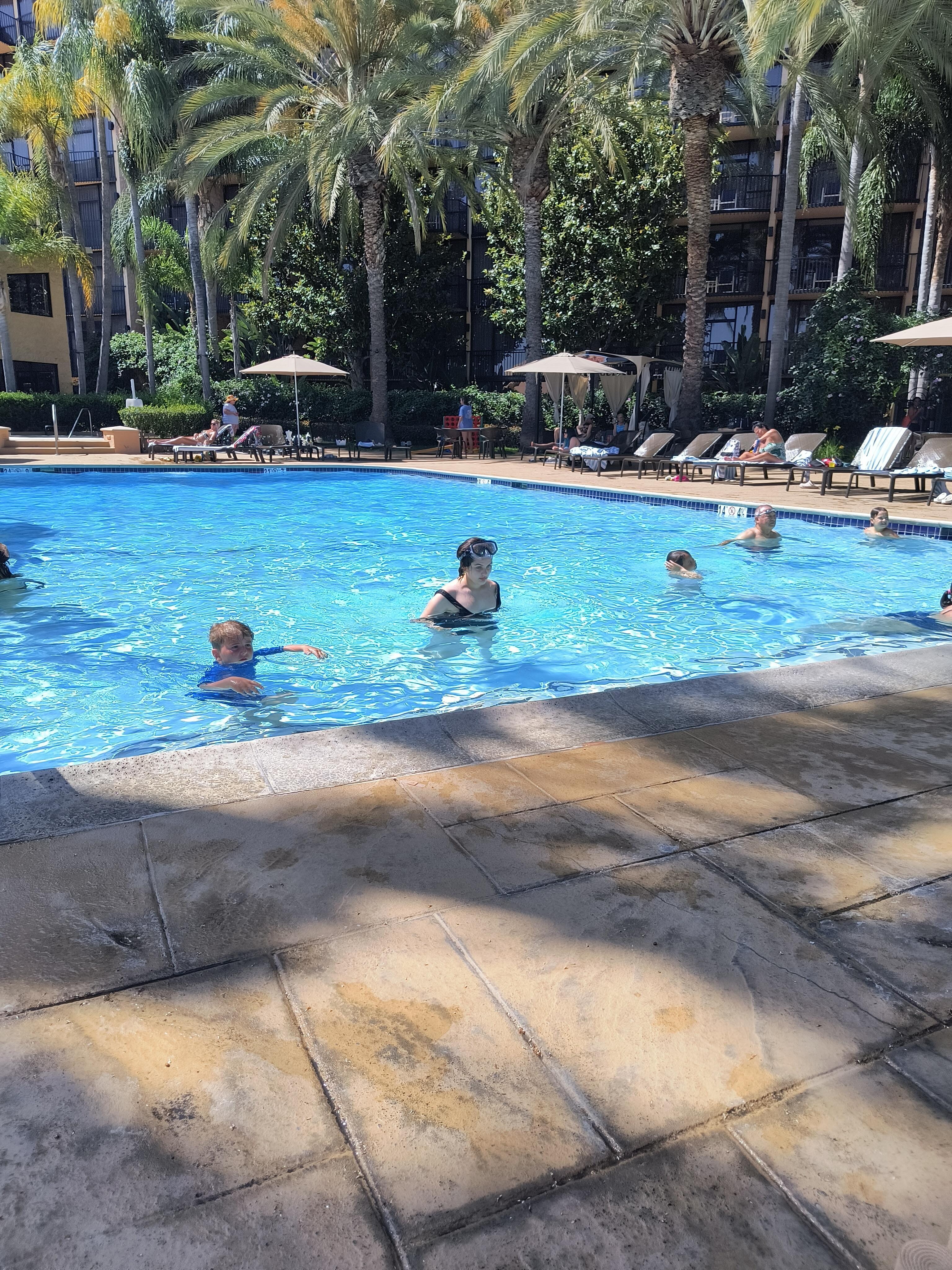 Pool view!