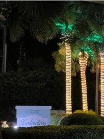 Beautiful view of Celadon at night