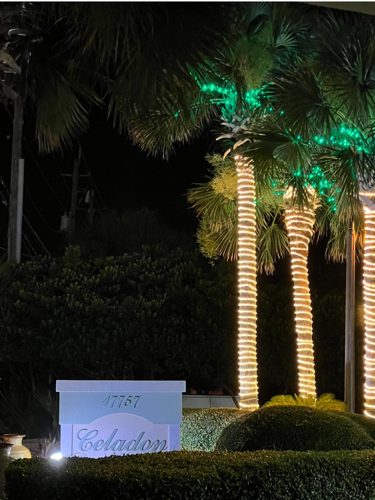 Beautiful view of Celadon at night 