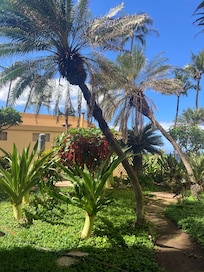 Plants on property
