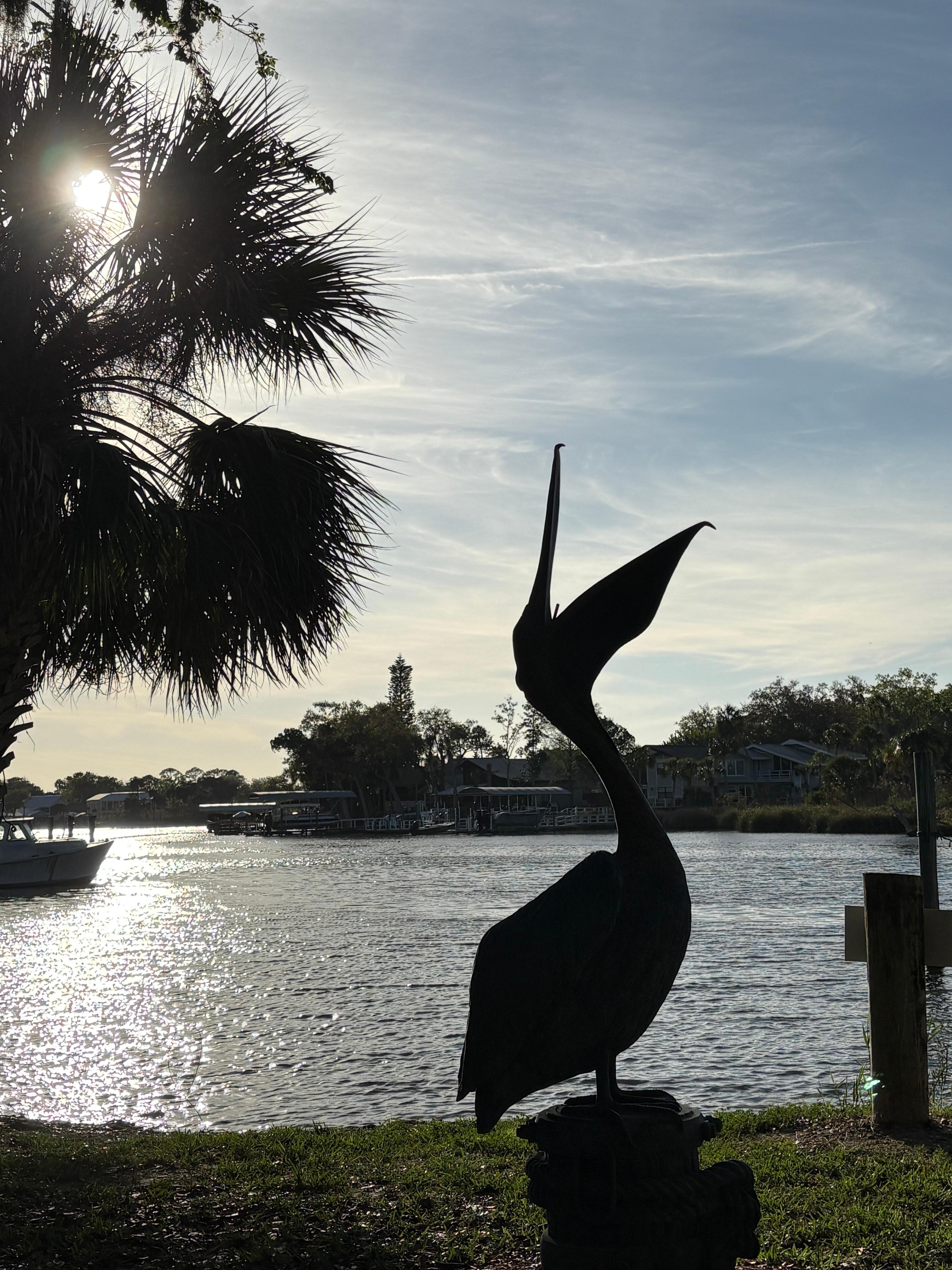 The small park on the river.