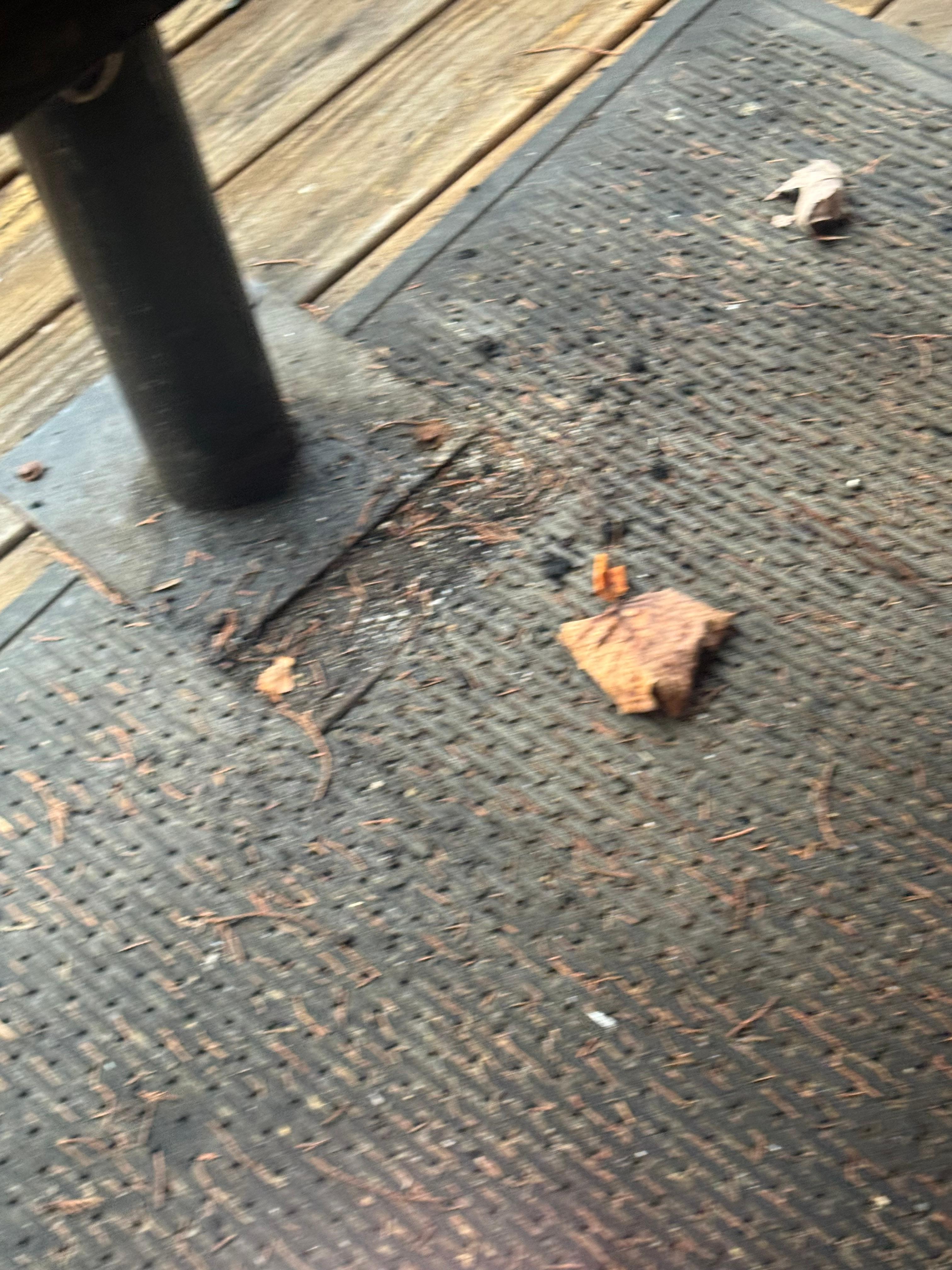 Deck/grill area gross 