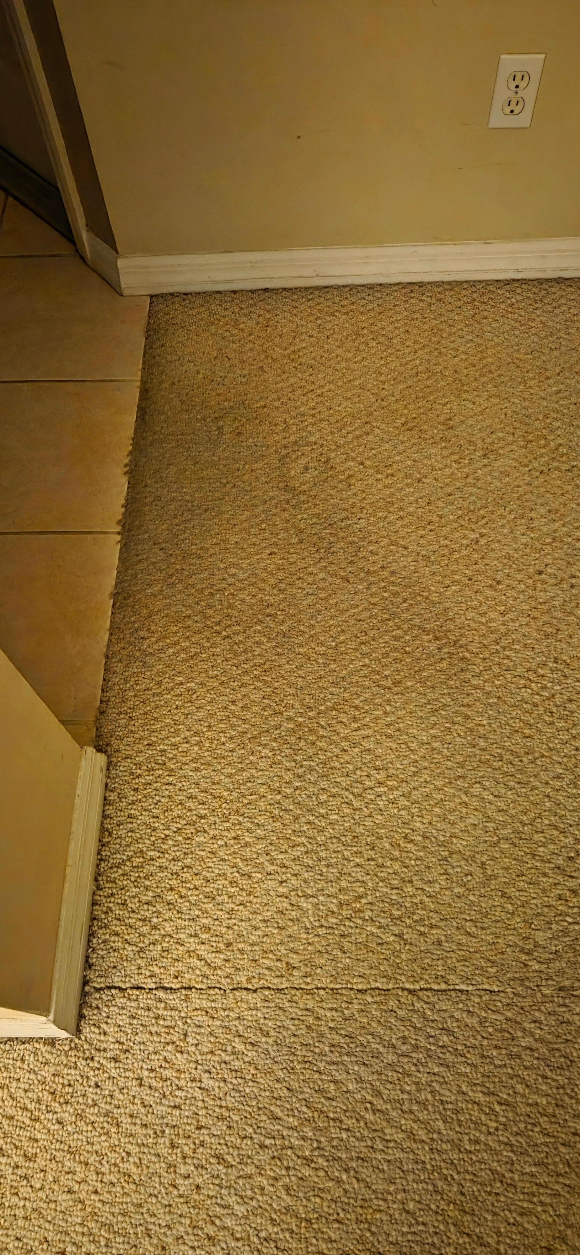 dirty and torn carpet between the kitchen and dining room
